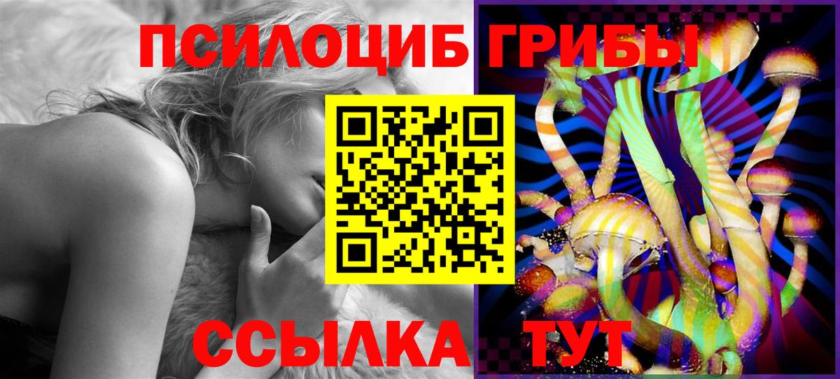 Соликамск  Псилоцибиновые грибы прущие грибы  Вход с VPN 